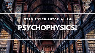 Psychophysics! (Intro Psych Tutorial #41)