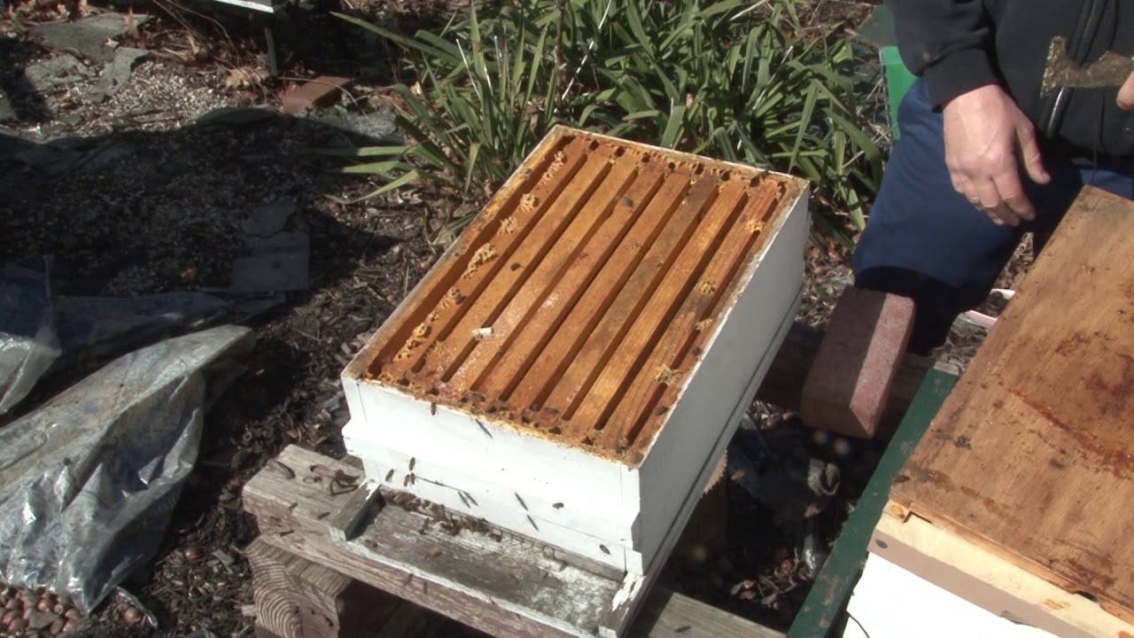 Spring Inspection 2020 - YouTube