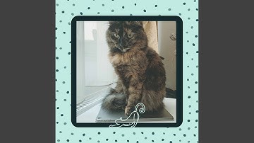 Vibrant Jazz Trombone - Vibe for Moody Kittens