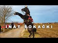 INAT ŠOKAČKI