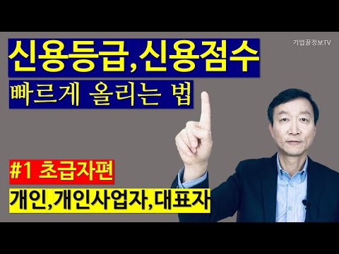 신용등급,신용점수 빠르게 올리는 법 /개인,개인사업자,대표자   #1 초급자용