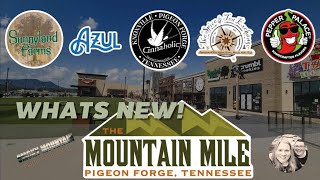 What’s NEW at the MOUNTAIN MILE in PIGEON FORGE? | Sunnyland Farms Azul Cinnaholic Crumbl | GIVEAWAY