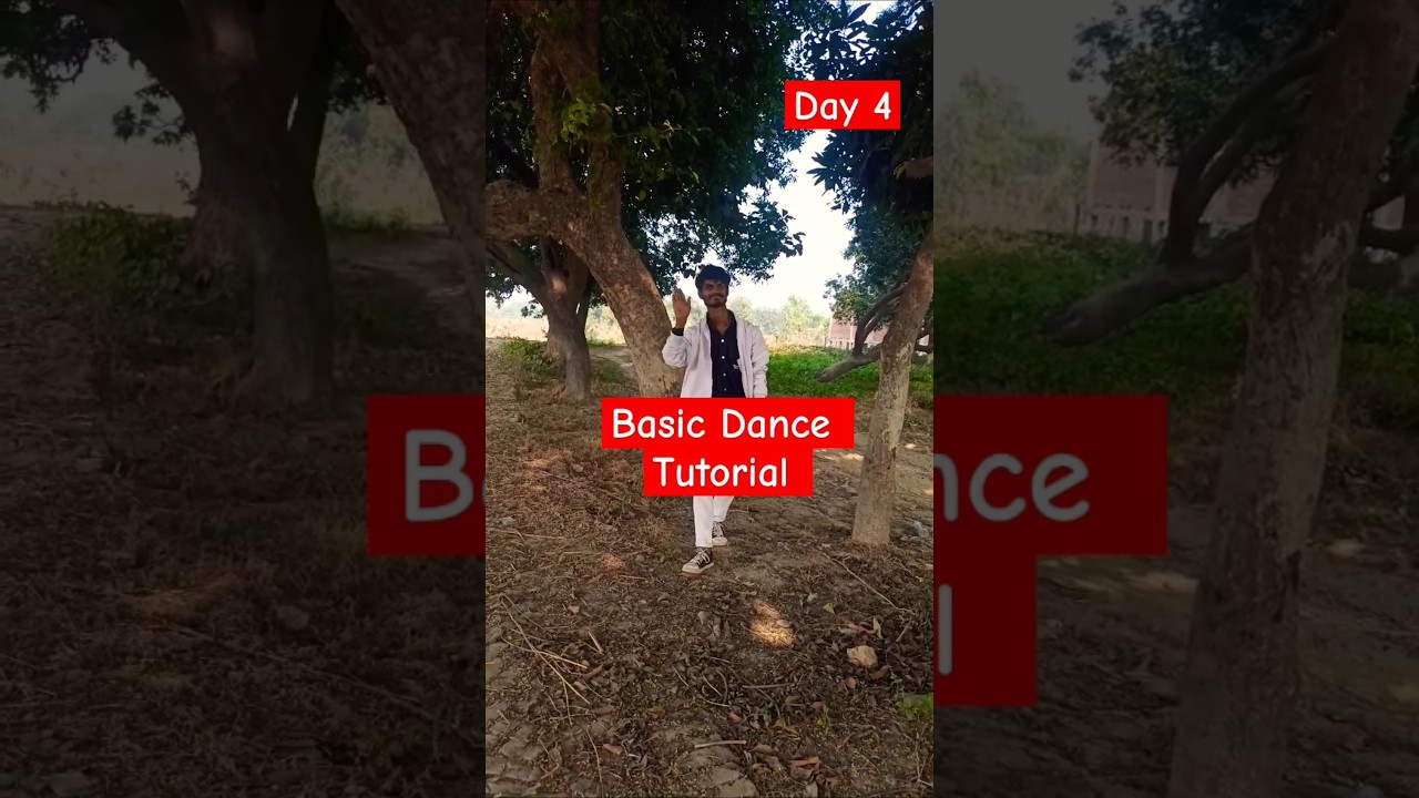 Basic dance tutorial || day 4 || 