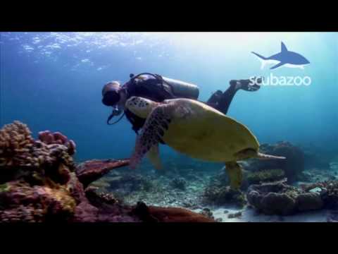 Scuba Diving Malaysia - Seaventures Dive Resort HD