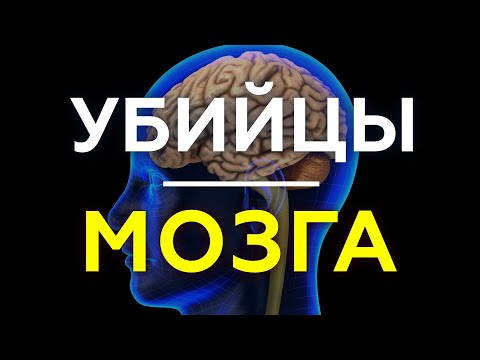 Видео: 4 вещи, которые НЕНАВИДИТ ВАШ МОЗГ