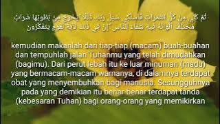 SURAH AN NAHL ayat 68 - 69 & Terjemahan
