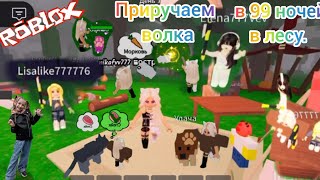 видео: Приручаем волка в 99 ночей в лесу.#Роблокс, #roblox картинка: Приручаем волка в 99 ночей в лесу.#Роблокс, #roblox