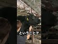 【牛のイボ取り】10日目