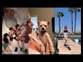 David Dobrik &amp; Vlog Squad Instagram Stories 15