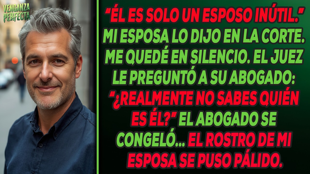 En la corte, mi esposa me llamó 'esposo inútil' — hasta que el juez hizo una pregunta ...