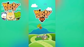 Wacky Sack Go! - Gameplay screenshot 3