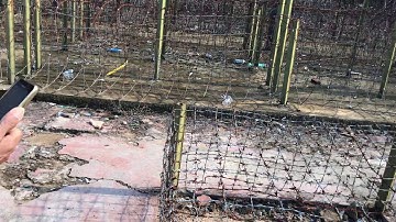 Nhà Tù Phú Quốc ( Hình Thức Tra Tấn ) 1
