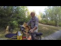 Maincoon cat riding on bike