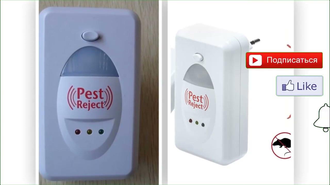 Отпугиватель клопов pest reject - YouTube