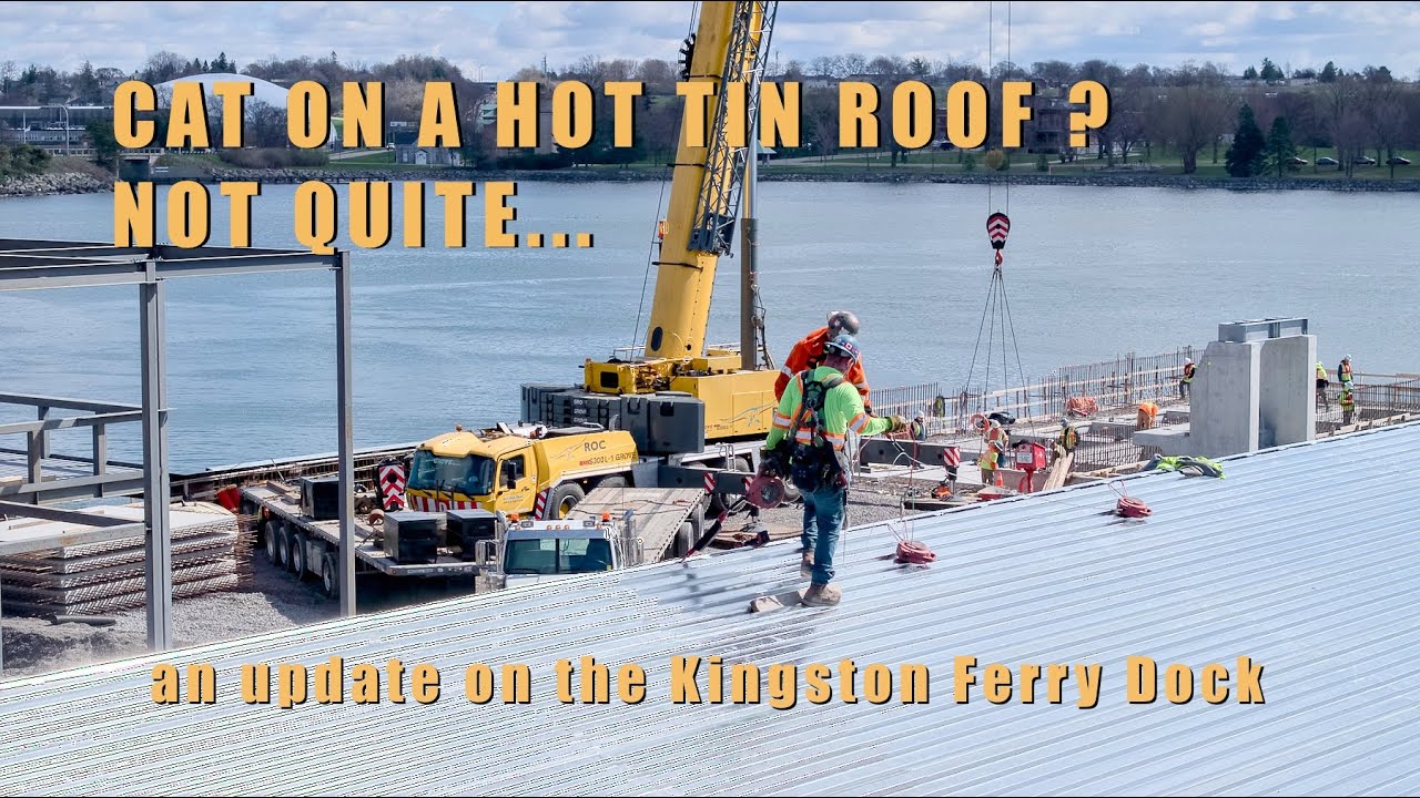 Cat on a hot tin roof an update on the Kingston Ferry Dock 4K YouTube