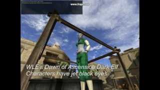 Winterleaf Entertainment Mmo Character Eye Blinks