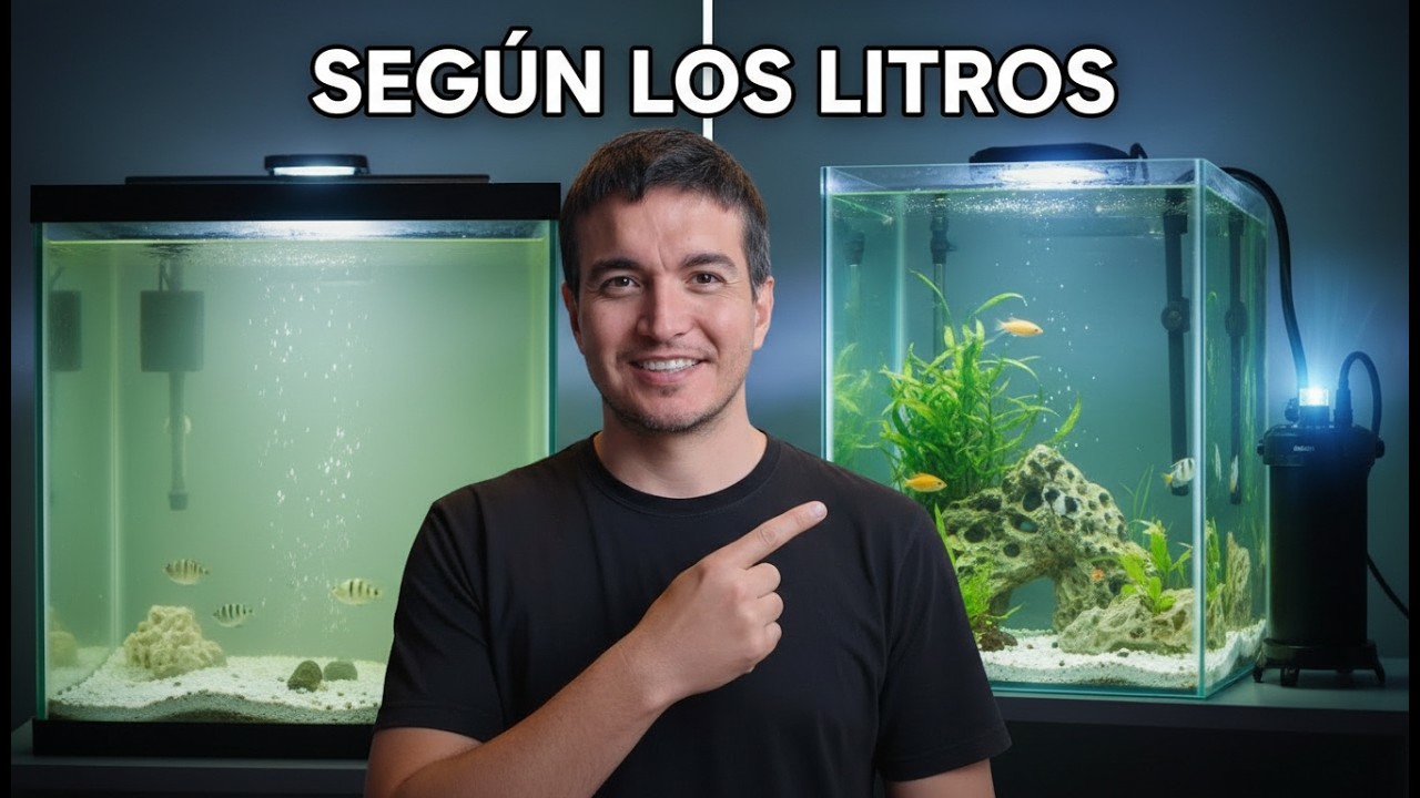 “El Mejor Filtro para tu Acuario Según los Litros