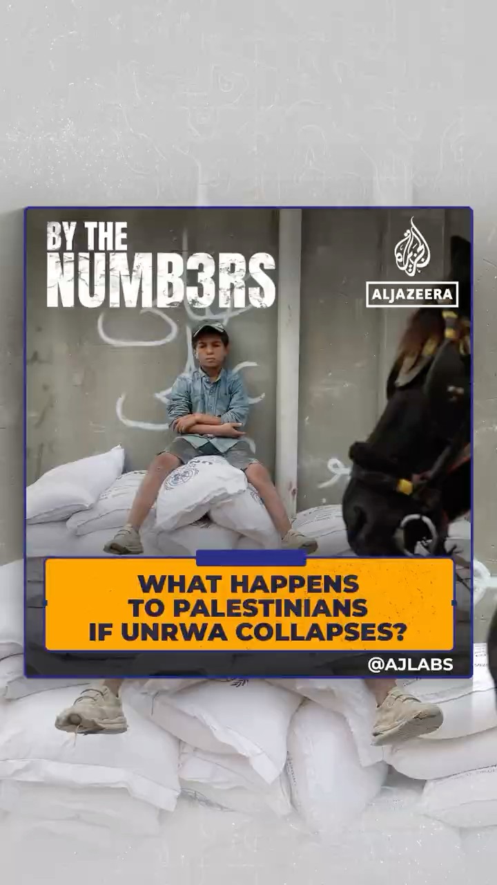 What happens to Palestinians if UNRWA collapses? | By the Numbers