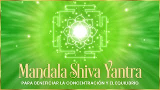 Mandala Shiva Yantra | Observarlo beneficia la concentración y el equilibrio