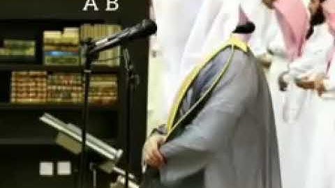 { وإن ربك لذو فضل على الناس } تلاوة بديعة بمقام الصبا المؤثر الشيخ ياسر الدوسري ♡ 🧡