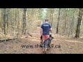 The BEST Off Leash Trainers in Canada 🇨🇦