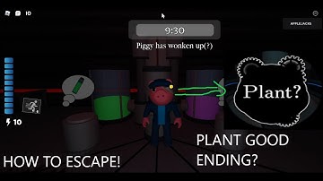 HOW TO ESCAPE PIGGY THE RESULT OF ISOLATION PLANT[?]... CONCEPT...