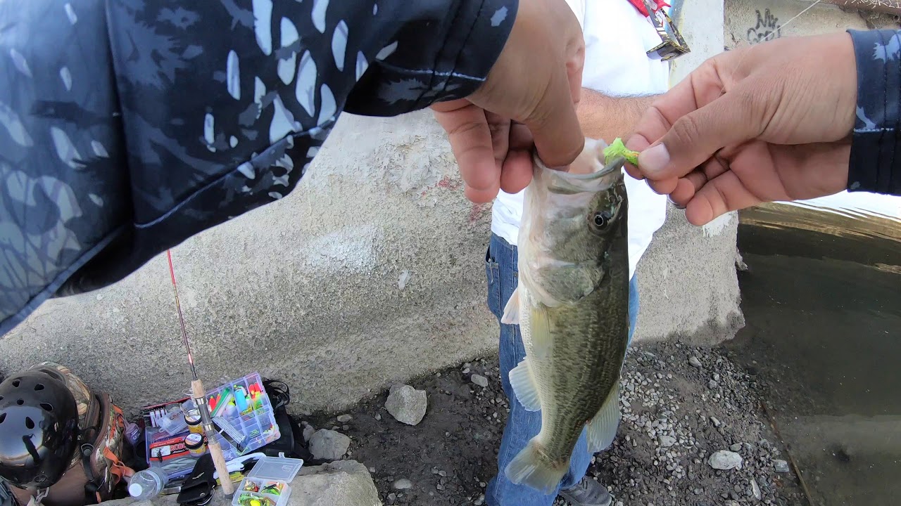 Crappie fishing the Kings River YouTube