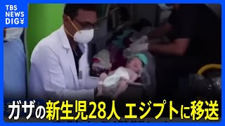 シファ病院の新生児28人 エジプトに移送｜TBS NEWS DIG