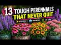 13 Low-Maintenance Perennials That Withstand Heat, Rain, and Neglect in Containers