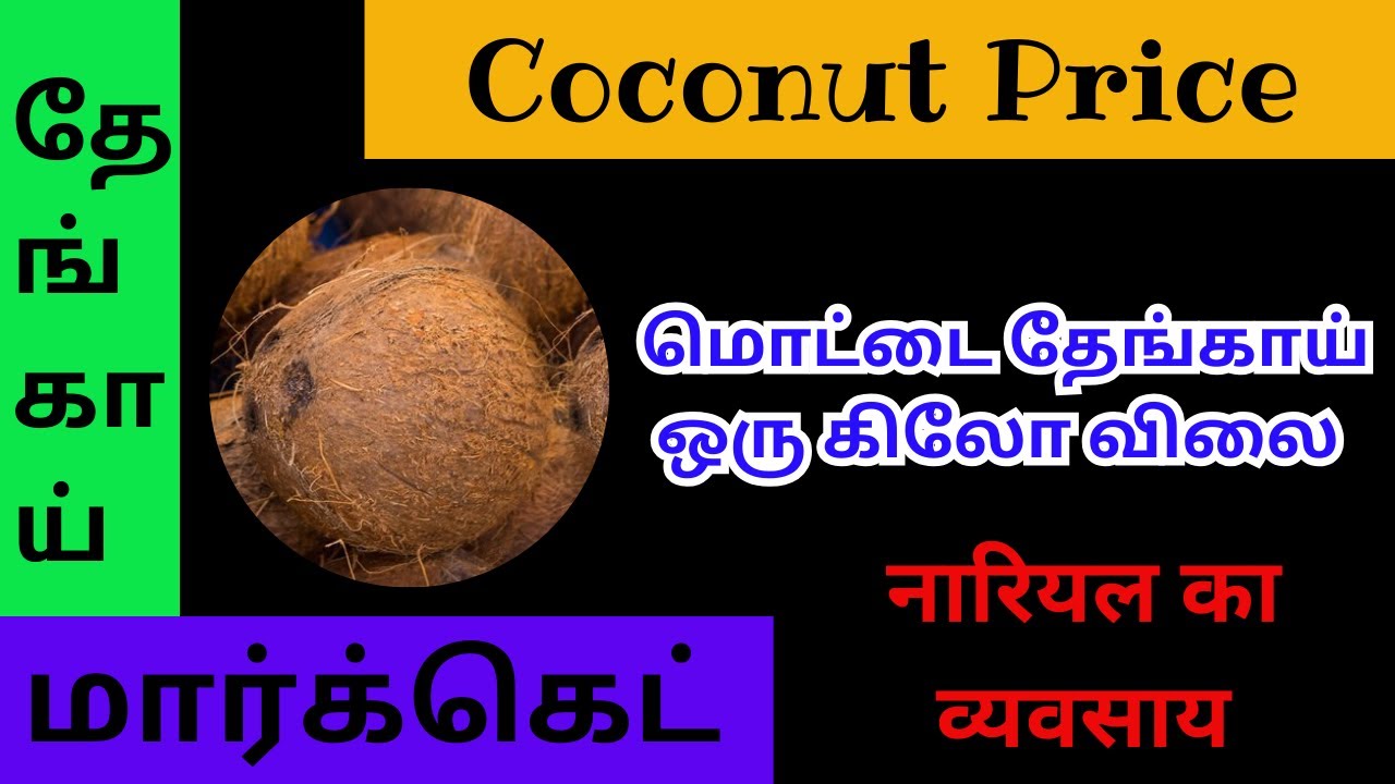 Modakurichi மட்டை உரித்த தேங்காய் விலை | Buy Coconuts To Make Copra Here ...