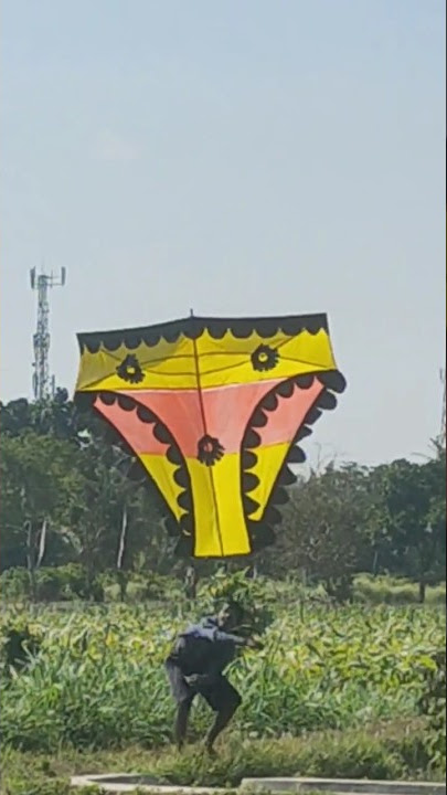 Layangan CAWET Mengudara!! Dekengan Pusat #Short