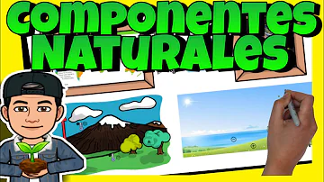 ¿Cuáles son los componentes naturales?