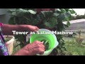 GT2 as a Salad Machine: Review of the Garden Tower 2 from David G. (California)