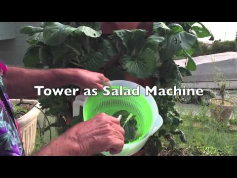 Testimonials Garden Tower Project