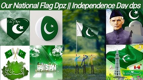 14 August Dpz || National Day dpz || independence Day Dps || our National Flag Dpz || pakistan flag