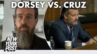 Celebrity Ted Cruz trends on Twitter for ‘destroying’ tech CEO during hearing | New York Post Profile