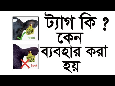 ভিডিও: আপনার কি মূল্য ট্যাগ দরকার?