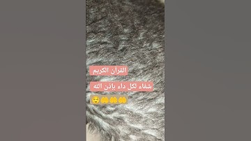 #القرآن #القرآن_الكريم #شفاء_الروح #راحةنفسية #تلاوة #خاشعه #love #متابعه_لحسابي
