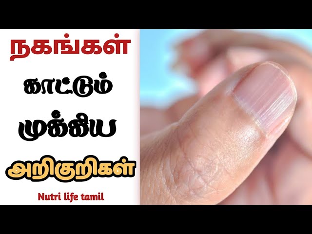 True Disciple (Tamil) - William MacDonald