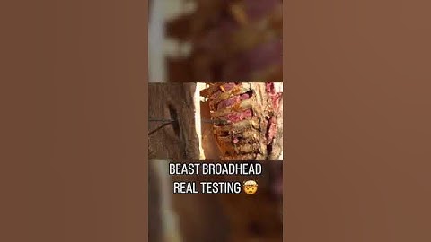 BEAST BROADHEAD Testing on the real thing  Filmed at 10,000 fps 🤯