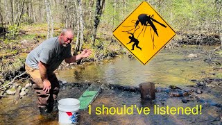 Attacked by clouds of bugs !!! 