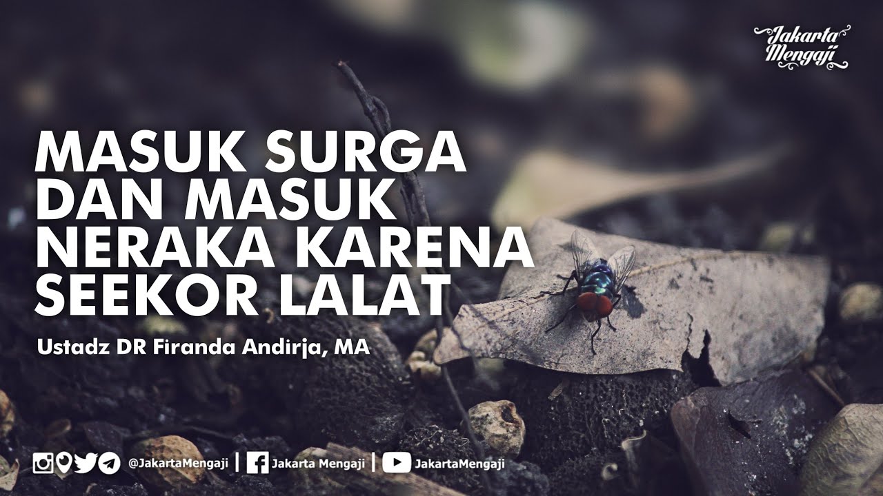 Masuk Surga dan Masuk Neraka Karena Seekor Lalat - Ustadz DR Firanda Andirja, MA