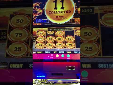 Bet Stacker Blackjack 4 | Get Lifetime Perks Using This Stake Promo Code