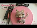 Modeling a Kitty with Tissi Benvegna, TLook, and Sugar Shapers