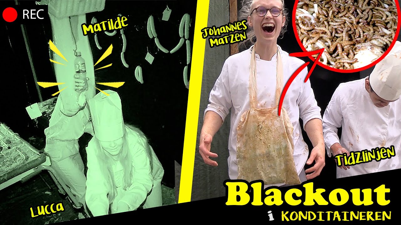 Gennemroder RÅDDEN mad med ORME | Blackout i Konditaineren