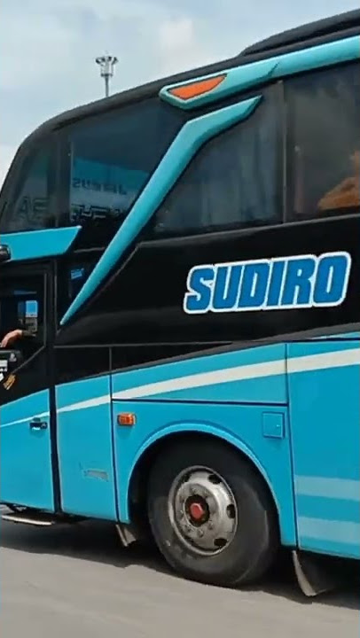 Sudiro tungga jaya BAGHEERA #shorts #busmania #stj #sudirotunggajaya #stjmania #busindonesia #bus