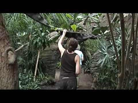 Henry Doorly Zoo- Lied Jungle 3/3