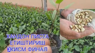картинка: ХАНДОН ПИСТА ЕТИШТИРИШ 3 КИСМ ФИНАЛ 21-iyul, 2020
