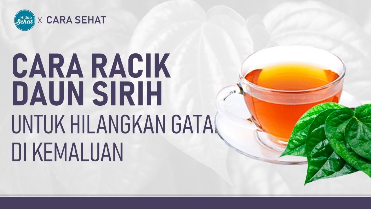 Gatal-Gatal di Kemaluan? Ini Cara Buat Racikan Daun Sirih | Hidup Sehat tvOne
