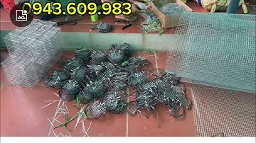 😵☄️🥰KẸP BẪY CHUỘT CHIM CÒ VẠC SẢN XUẤT TẠI XƯỞNG 💥🥰🔥